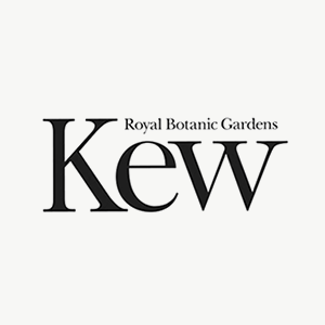 Kew Gardens
